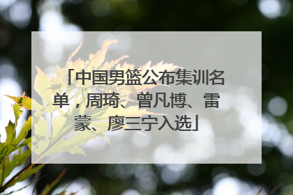 中国男篮公布集训名单，周琦、曾凡博、雷蒙、廖三宁入选