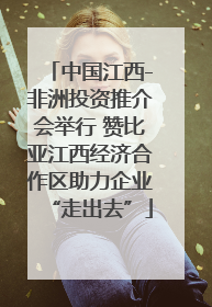 中国江西-非洲投资推介会举行 赞比亚江西经济合作区助力企业“走出去”
