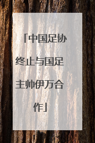 中国足协终止与国足主帅伊万合作