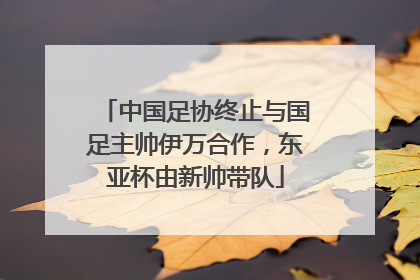 中国足协终止与国足主帅伊万合作，东亚杯由新帅带队