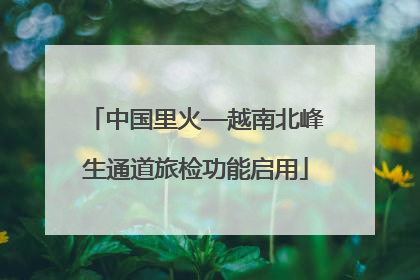 中国里火—越南北峰生通道旅检功能启用