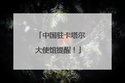 中国驻卡塔尔大使馆提醒！