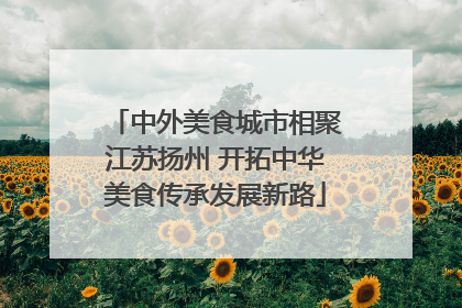 中外美食城市相聚江苏扬州 开拓中华美食传承发展新路