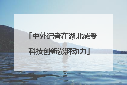 中外记者在湖北感受科技创新澎湃动力