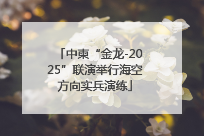 中柬“金龙-2025”联演举行海空方向实兵演练
