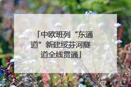 中欧班列“东通道”新建绥芬河隧道全线贯通
