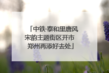 中铁·泰和里唐风宋韵主题街区开市 郑州再添好去处