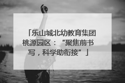 乐山城北幼教育集团桃源园区：“聚焦前书写，科学助衔接”