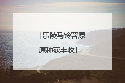 乐陵马铃薯原原种获丰收