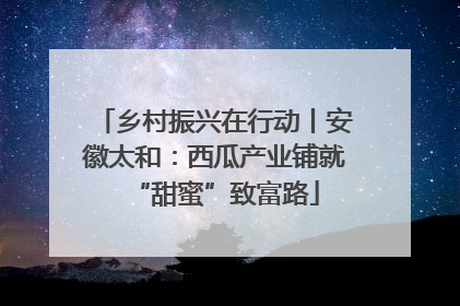 乡村振兴在行动丨安徽太和：西瓜产业铺就“甜蜜”致富路