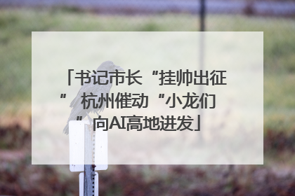 书记市长“挂帅出征” 杭州催动“小龙们”向AI高地进发