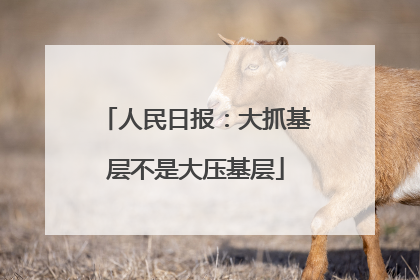 人民日报：大抓基层不是大压基层