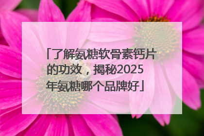 了解氨糖软骨素钙片的功效，揭秘2025年氨糖哪个品牌好