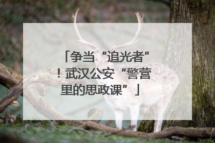争当“追光者”！武汉公安“警营里的思政课”