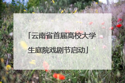 云南省首届高校大学生庭院戏剧节启动