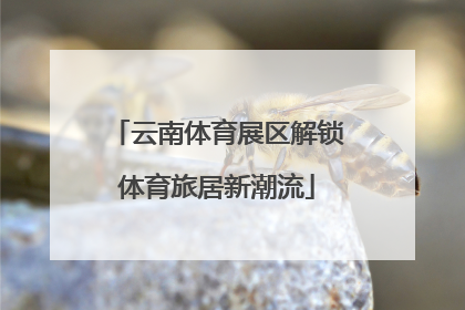 云南体育展区解锁体育旅居新潮流