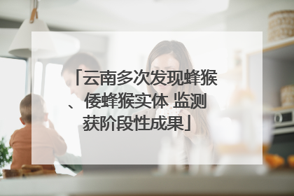 云南多次发现蜂猴、倭蜂猴实体 监测获阶段性成果