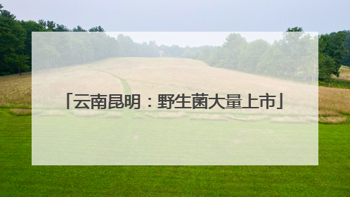 云南昆明：野生菌大量上市