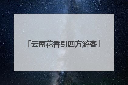 云南花香引四方游客