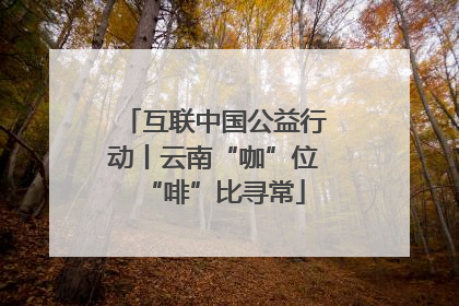互联中国公益行动丨云南“咖”位“啡”比寻常