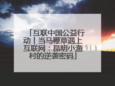 互联中国公益行动丨当马鞭草遇上互联网：昆明小渔村的逆袭密码