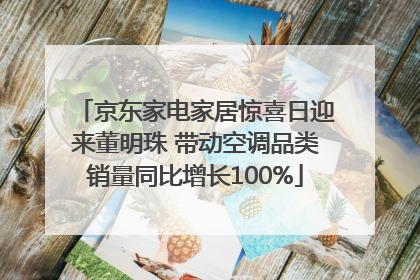 京东家电家居惊喜日迎来董明珠 带动空调品类销量同比增长100%