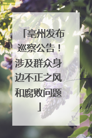 亳州发布巡察公告！涉及群众身边不正之风和腐败问题