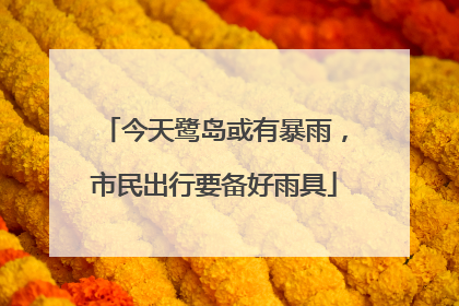 今天鹭岛或有暴雨，市民出行要备好雨具