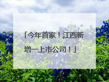 今年首家！江西新增一上市公司！