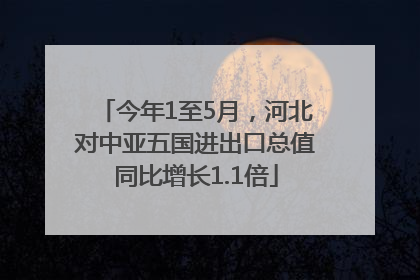今年1至5月，河北对中亚五国进出口总值同比增长1.1倍