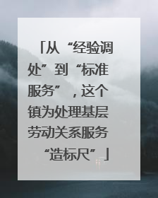 从“经验调处”到“标准服务”，这个镇为处理基层劳动关系服务“造标尺”