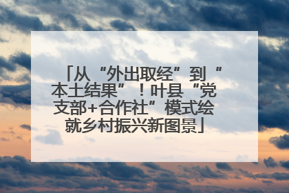 从“外出取经”到“本土结果”！叶县“党支部+合作社”模式绘就乡村振兴新图景