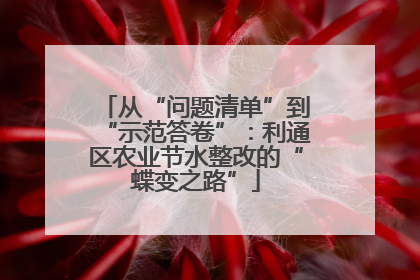 从“问题清单”到“示范答卷”：利通区农业节水整改的“蝶变之路”