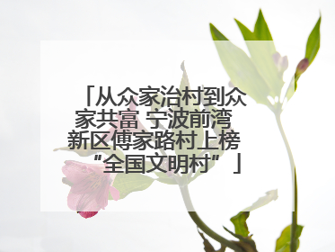 从众家治村到众家共富 宁波前湾新区傅家路村上榜“全国文明村”