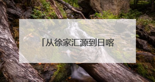 从徐家汇源到日喀则，沪藏两地开满梦想的“格桑花”！