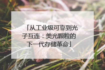 从工业级可靠到光子互连：美光颗粒的下一代存储革命