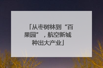 从枣树林到“百果园”，航空新城种出大产业