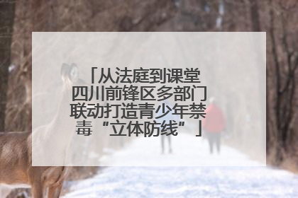 从法庭到课堂 四川前锋区多部门联动打造青少年禁毒“立体防线”