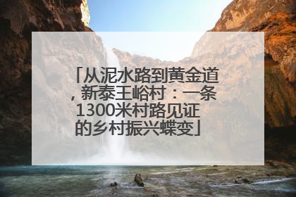 从泥水路到黄金道，新泰王峪村：一条1300米村路见证的乡村振兴蝶变