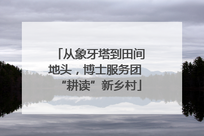 从象牙塔到田间地头，博士服务团“耕读”新乡村