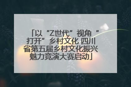 以“Z世代”视角“打开”乡村文化 四川省第五届乡村文化振兴魅力竞演大赛启动