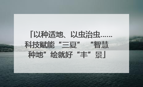 以种适地、以虫治虫……科技赋能“三夏” “智慧种地”绘就好“丰”景
