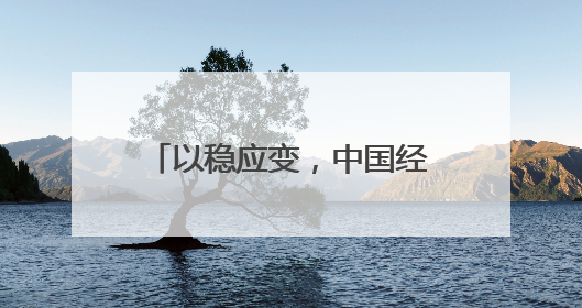以稳应变，中国经济展现韧性与潜力