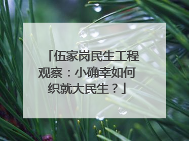 伍家岗民生工程观察：小确幸如何织就大民生？