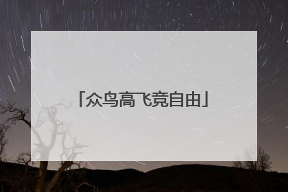 众鸟高飞竞自由