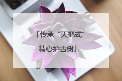 传承“天把式” 精心护古树