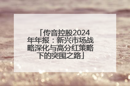 传音控股2024年年报：新兴市场战略深化与高分红策略下的突围之路