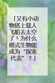 又有小动物搭上载人飞船去太空了！为什么模式生物能成为“探索代表”？