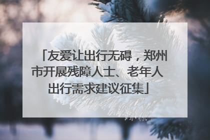友爱让出行无碍，郑州市开展残障人士、老年人出行需求建议征集