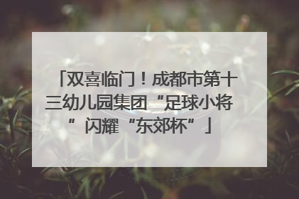 双喜临门！成都市第十三幼儿园集团“足球小将”闪耀“东郊杯”